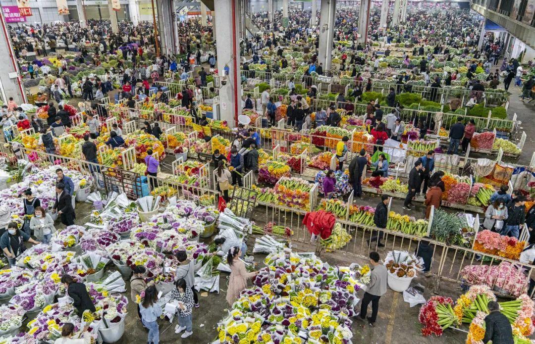 Guangzhou Flower Market (Guangzhou International Flower Trading Center)